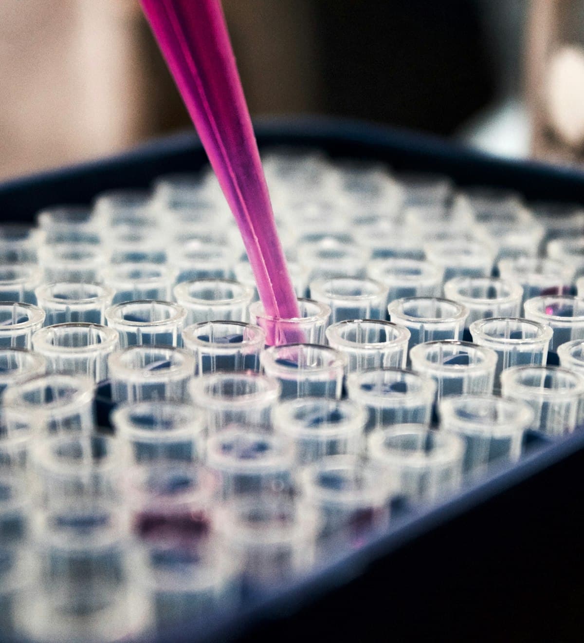 Whole-genome sequencing in a CLIA-certified, CAP-accredited laboratory
